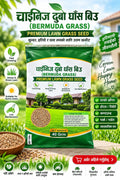 Chinese Bermuda Grass Seed – Premium Lawn Grass Seed Orinz store