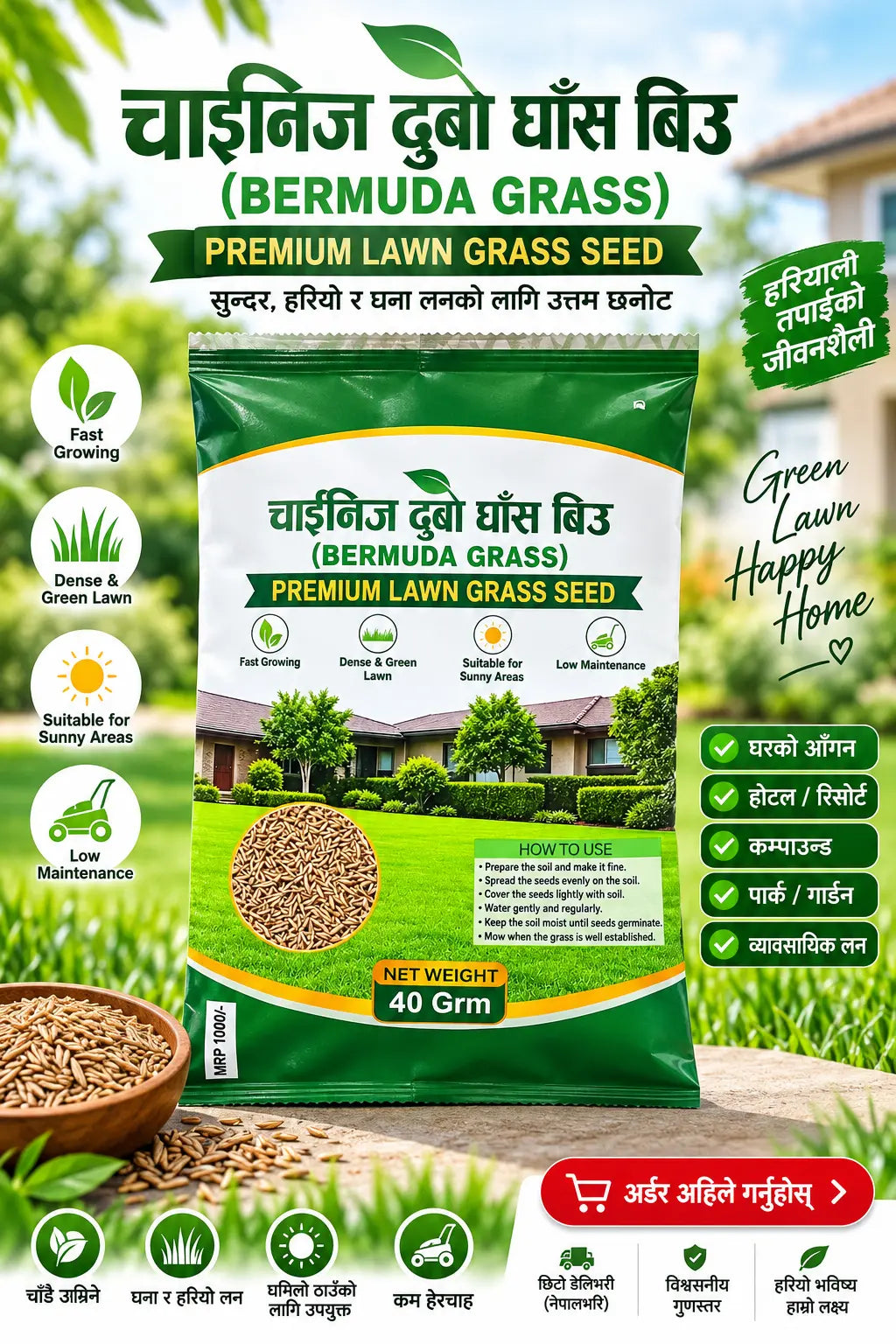 Chinese Bermuda Grass Seed – Premium Lawn Grass Seed Orinz store