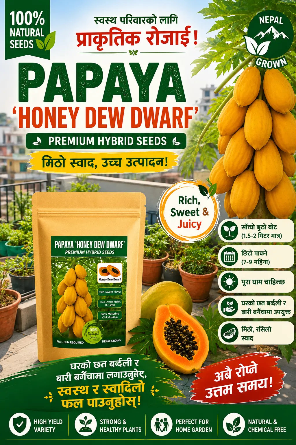 50 Seeds - (Premium Hybrid Honey Dew Dwarf Papaya Seeds) Choice deal Nepal