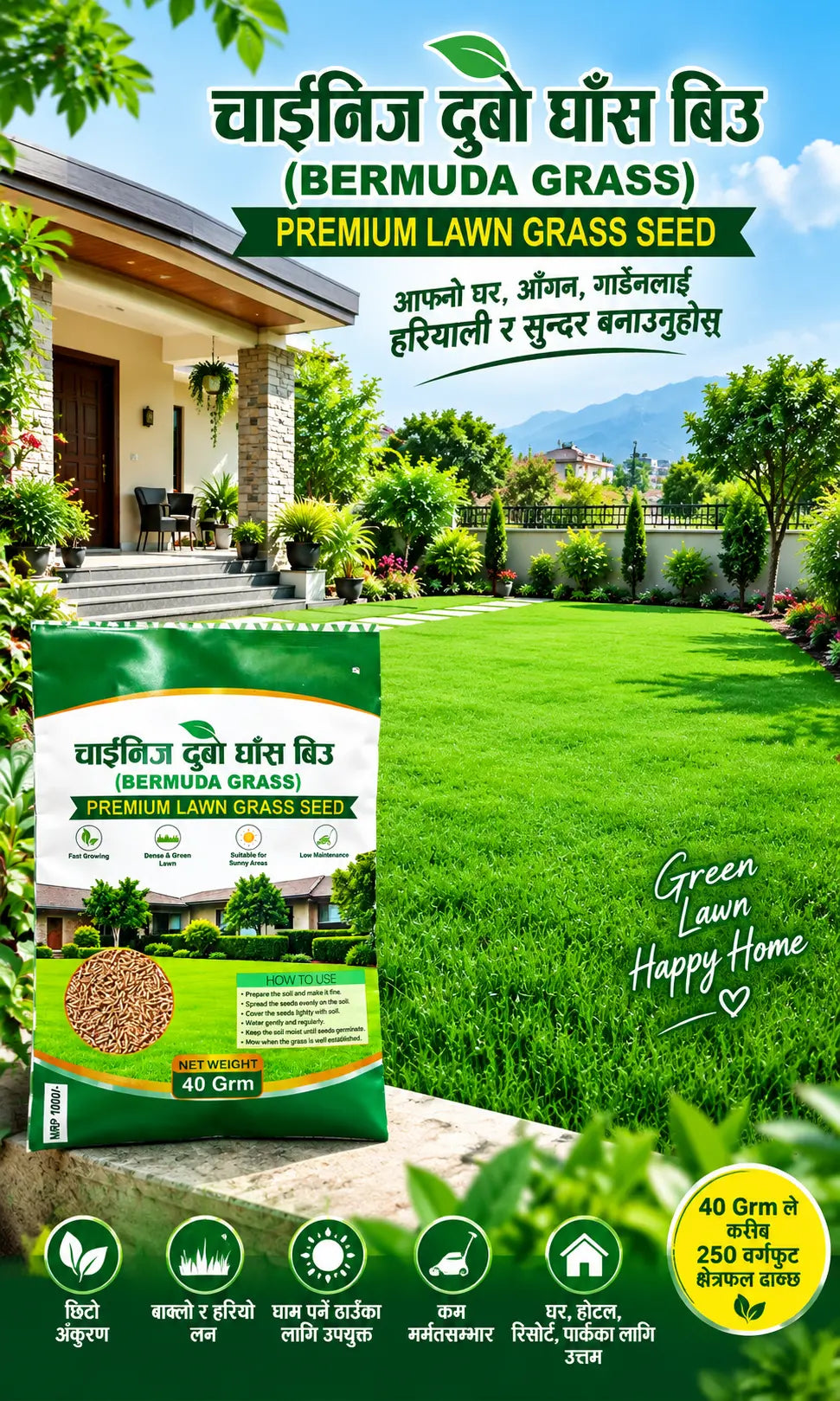 Chinese Bermuda Grass Seed – Premium Lawn Grass Seed Orinz store
