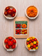 Marigold Select Hybrids OneCart